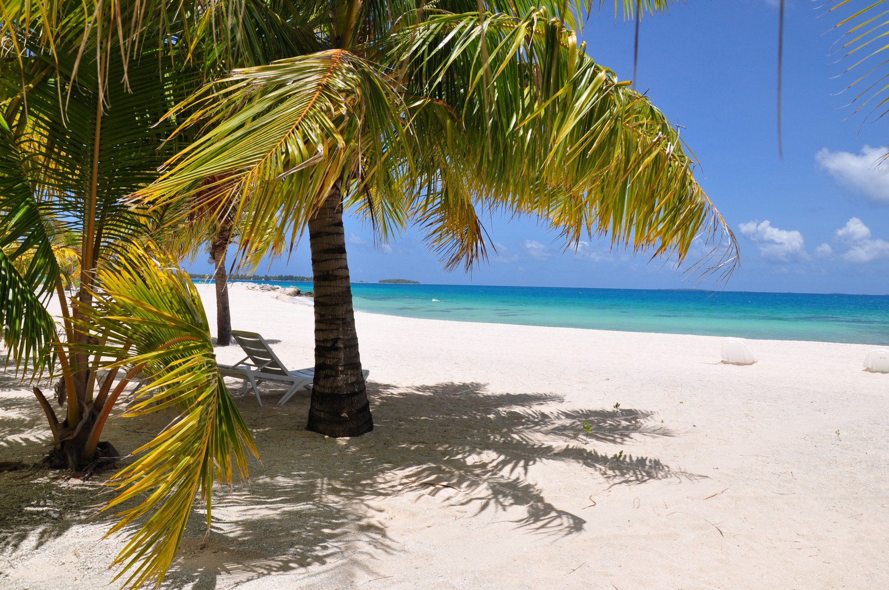 Pension Tikehau Paradise